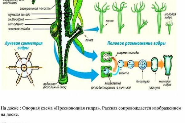 Кракен площадка торговая что это