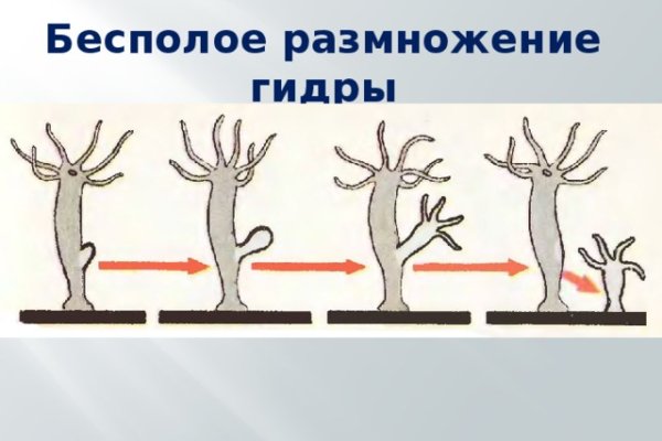 Kraken13 at сайт
