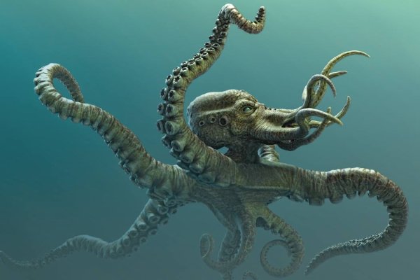 Где взять ссылку на кракен kraken014 com