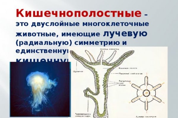 Как зарегистрироваться в кракен в россии